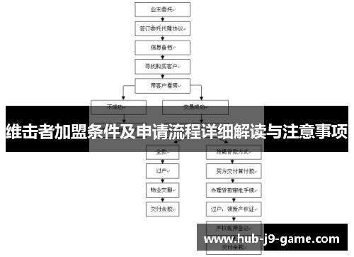 维击者加盟条件及申请流程详细解读与注意事项